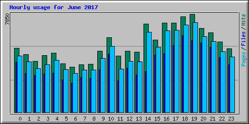 Hourly usage for June 2017