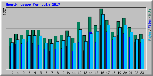 Hourly usage for July 2017