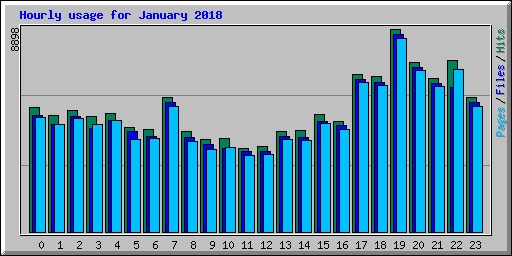 Hourly usage for January 2018